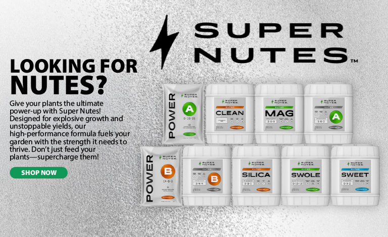 Super Nutes - Silver 