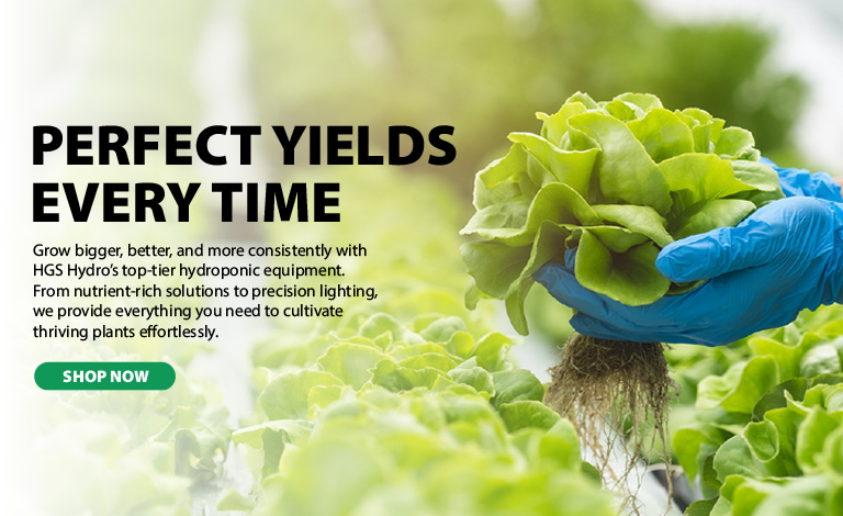 Perfect Yields 